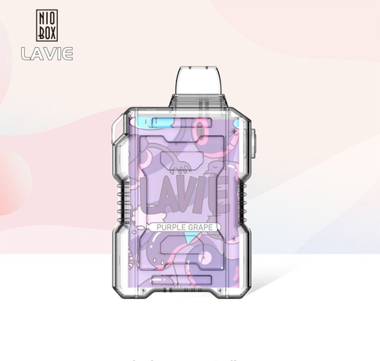Comprehensive Review of the LAVIE NIO BOX 9000 Disposable Vape